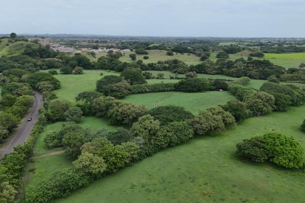 For sale land 9.8 hectares in las tablas