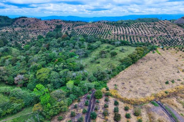 55.74 hectares of paradise in the mountains
