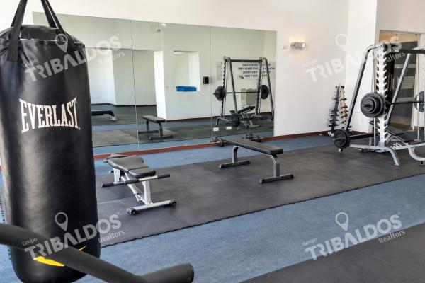 Apartment for rent in ph vitro loft, bella vista, furnished