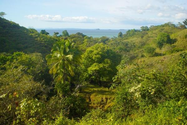 67-hectare oceanfront sanctuary in arena, veraguas