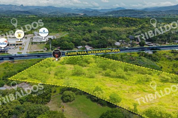 Venta de terreno comercial sobre la interamericana en coronado