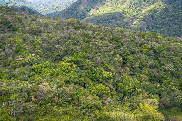 18.4 hectare land close to el cope, cocle