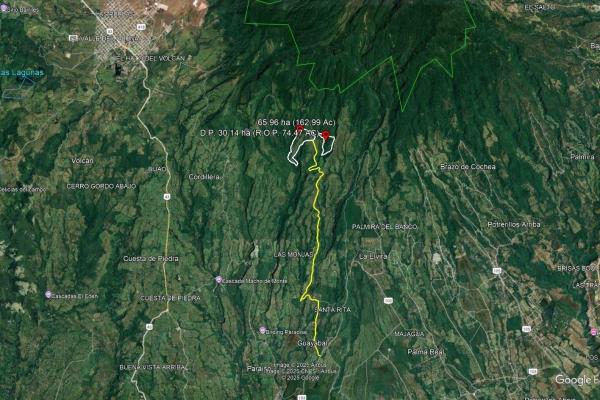 For sale – 96.10 -hectare agricultural farm in boquerón, las monjas
