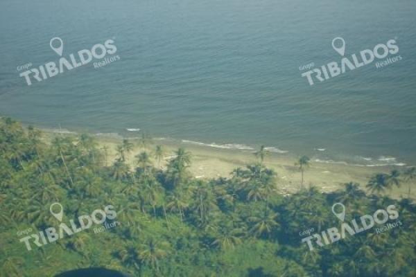 Playa hermosa el icacal
