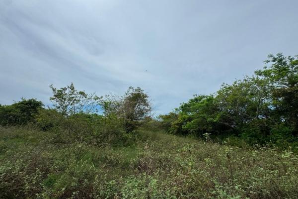 Venta de terreno de 9.9 hectáreas cerca de playas en el higo, san carlos