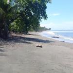 Terreno frente al mar en puerto armuelles panamá
