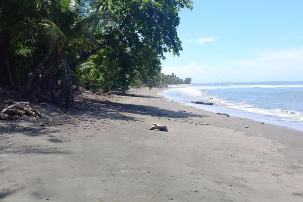 Terreno frente al mar en puerto armuelles panamá