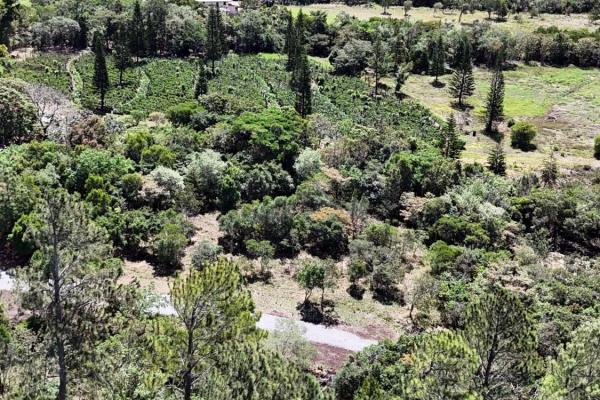 Land for sale in santa lucía, volcancito, boquete
