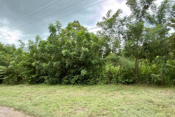 Land for sale in gorgona