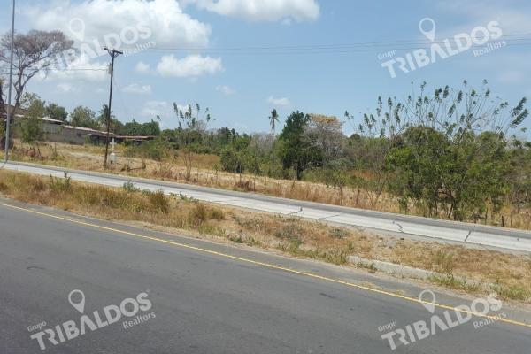 Terreno en vía interamericana