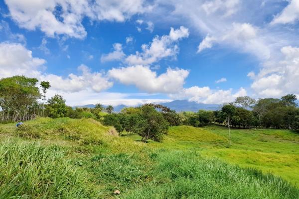 Amplia propiedad de 146.652 ha con fuentes de agua