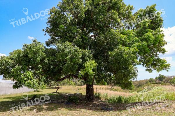 Venta de granja con mejoras en san carlos