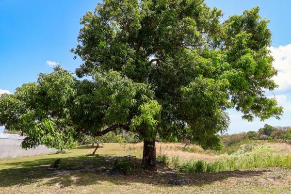 Venta de granja con mejoras en san carlos
