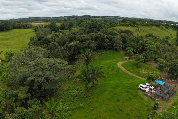 Se vende terreno para desarrollo residencial en el trapichito, la chorrera