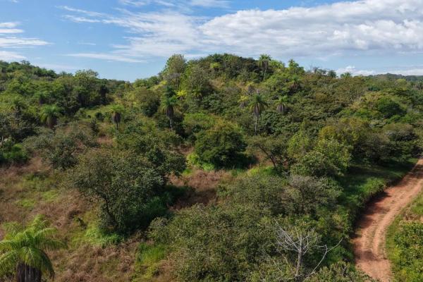 Terreno insular de 10,5 hectáreas con acceso por carretera.