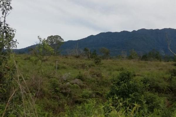 Amplios 5 hectáreas en venta en alto boquete