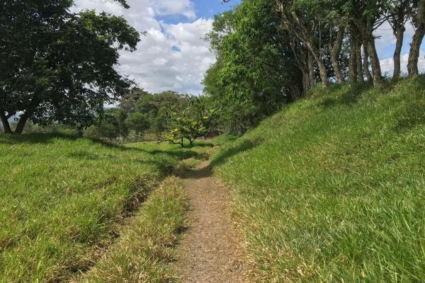 Amplia propiedad de 146.652 ha con fuentes de agua