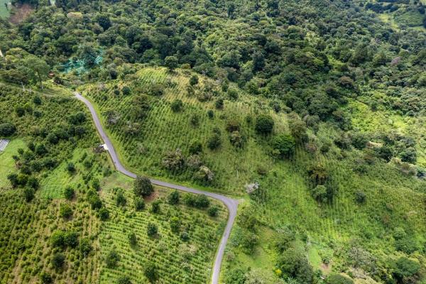 12 plus - ha producing coffee farm in boquete