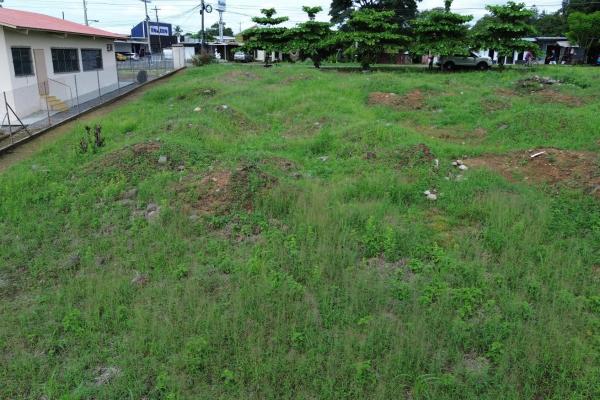 Commercial lot for sale in david