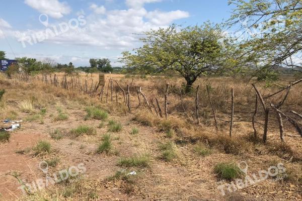 Venta de terreno frente a la panamericana en santiago