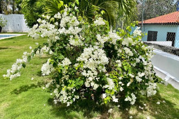 House for sale in coronado, los bosques.