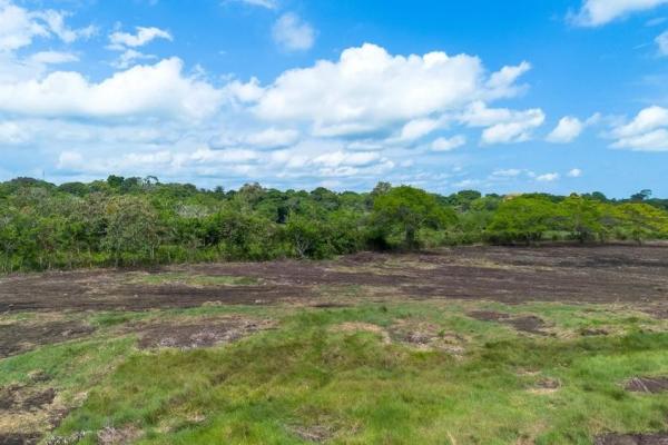 Terreno de 8 hectáreas en venta con acceso a la carretera panamericana.