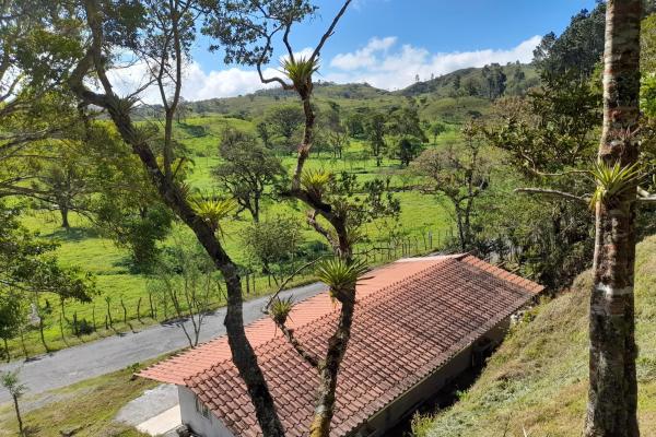 Lote privilegiado en venta en volcán