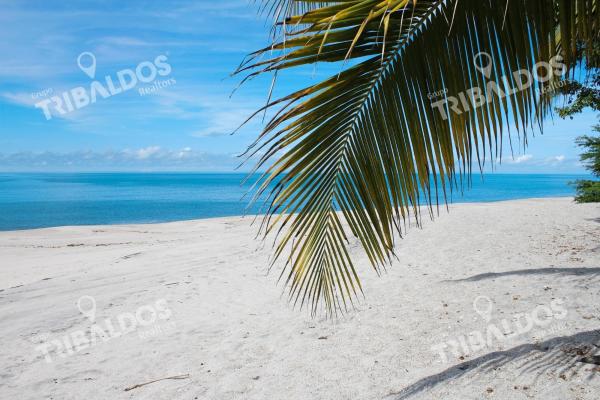 Terreno frente al mar en venta en río hato | 18 hectáreas | us$38/m²