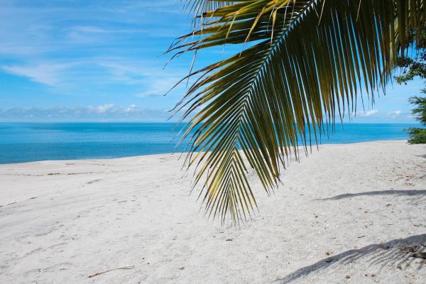 Oceanfront land for sale in río hato | 18 hectares