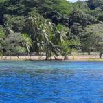 Puerto lindo lote frente al mar