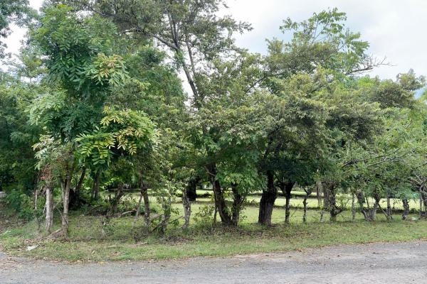 Venta de terreno en gorgona