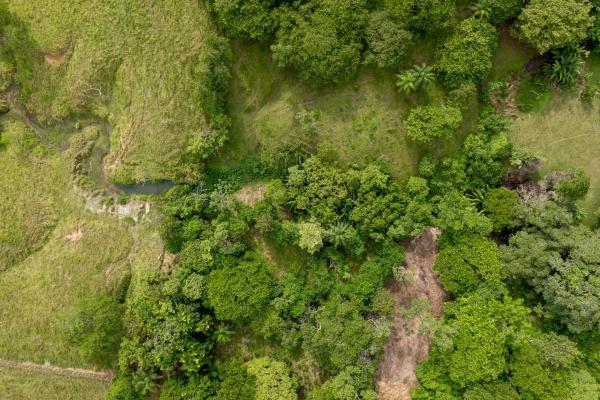 Se vende 2.02 hectareas planas en las lajas chiriqui