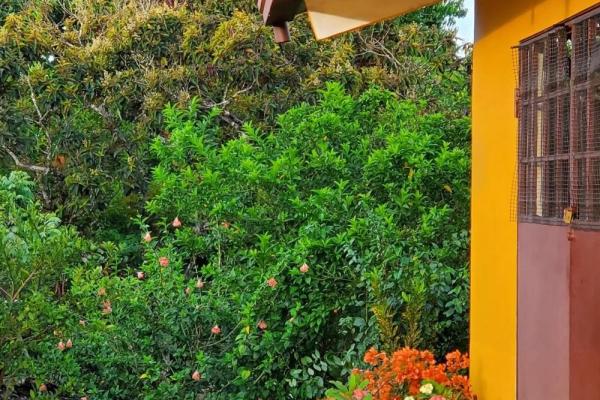 Furnished home for sale in dolega with gardens