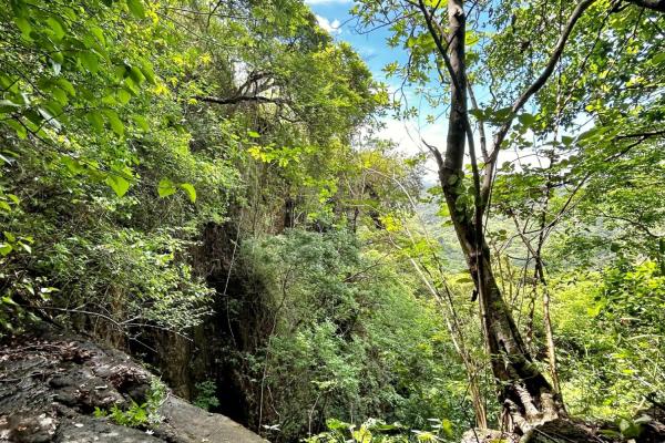 Hacienda de campo en 10.17 hectáreas, sorá
