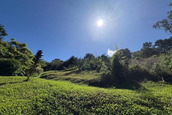 Commanding panoramic view of volcan baru