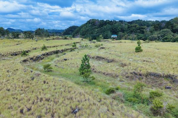 Large residential lot for sale – paso ancho