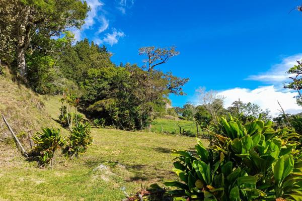 Lote privilegiado en venta en volcán