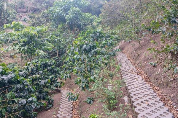Cabaña con vistas al volcán barú en venta en jaramillo
