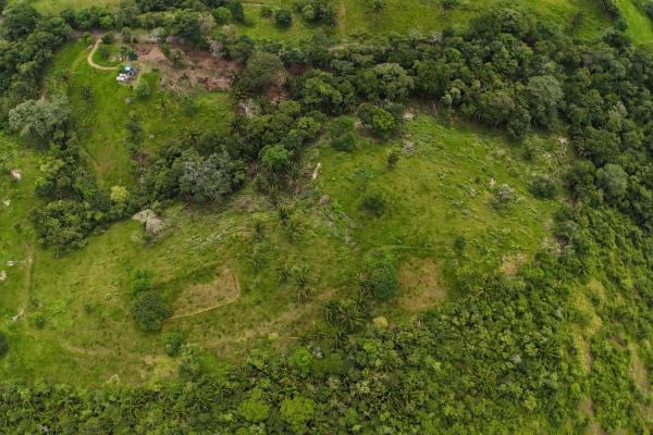 Se vende terreno para desarrollo residencial en el trapichito, la chorrera