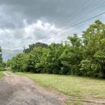 Land for sale in gorgona