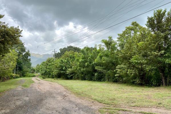 Land for sale in gorgona