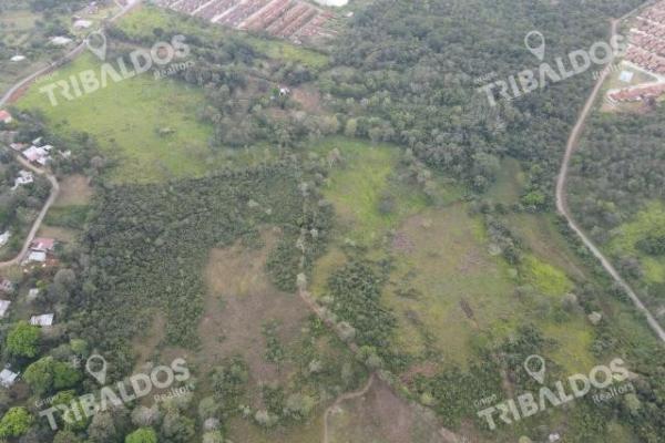 Venta de terreno para desarrollo de casas en arraijan