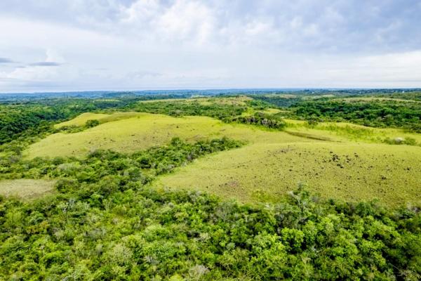 Ocean-view riverfront land-40.66 ha in san carlos