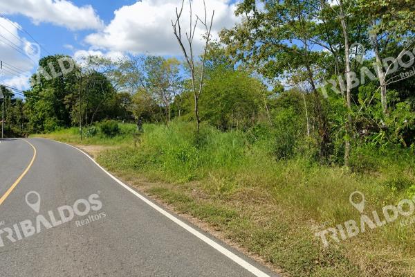 Venta de terreno ubicado en bique, arraijan