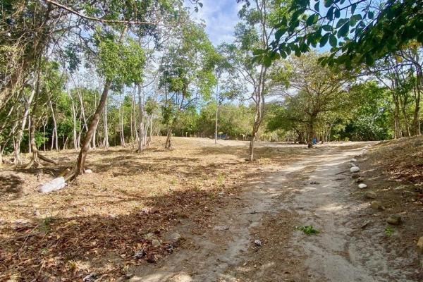 Finca de 4.3 hectareas – proyecto ideal comunidad