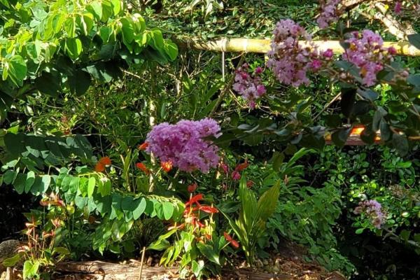 Furnished home for sale in dolega with gardens