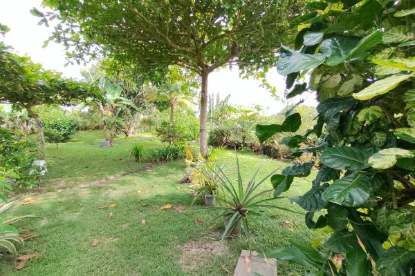 Oasis vía el valle: casa de 4 hab, casita extra, piscina y amplio jardín