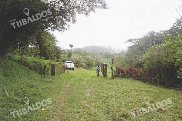 Venta de terreno en la mesa de el valle de anton