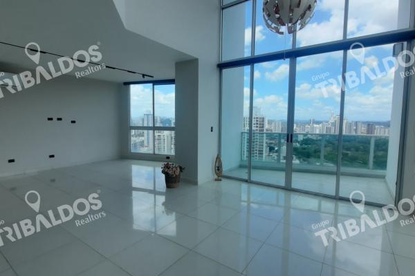 Sale of apartment in san francisco, park loft.