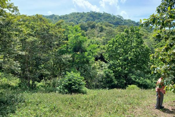 Sale of land 116 acres in san miguel, pacora river
